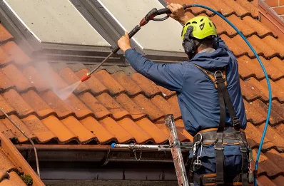 Démoussage et hydrofuge de toiture à Lusignac